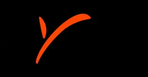 Payoneer-Log