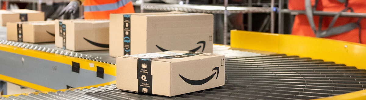 Maximize Your Amazon Vendor Revenue with Tech2Globe